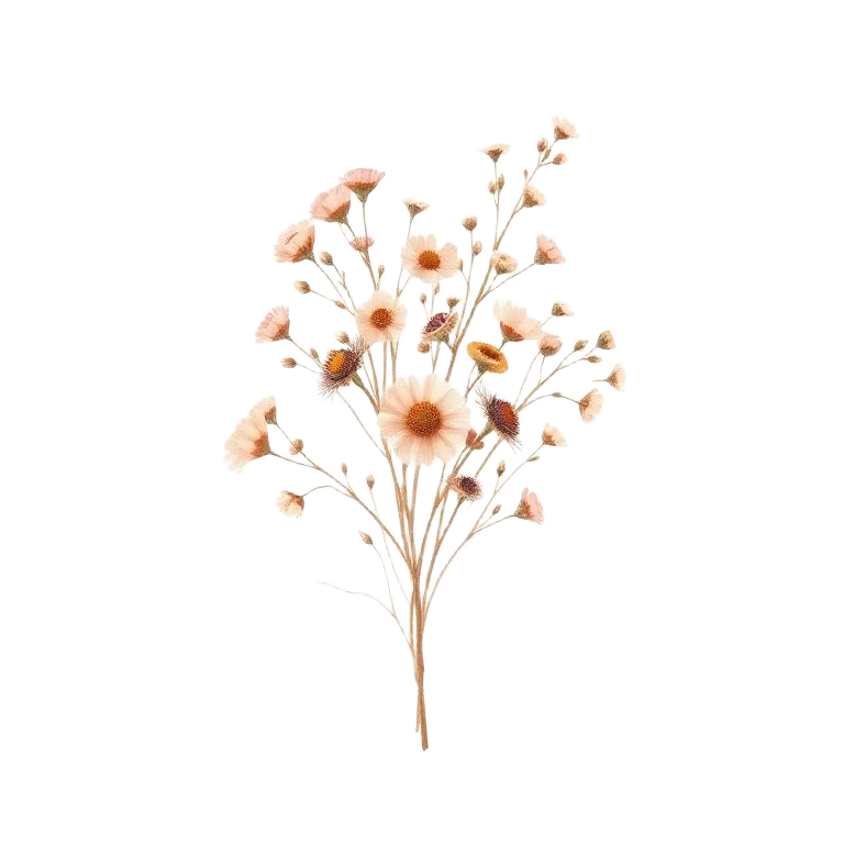 Fiori secchi